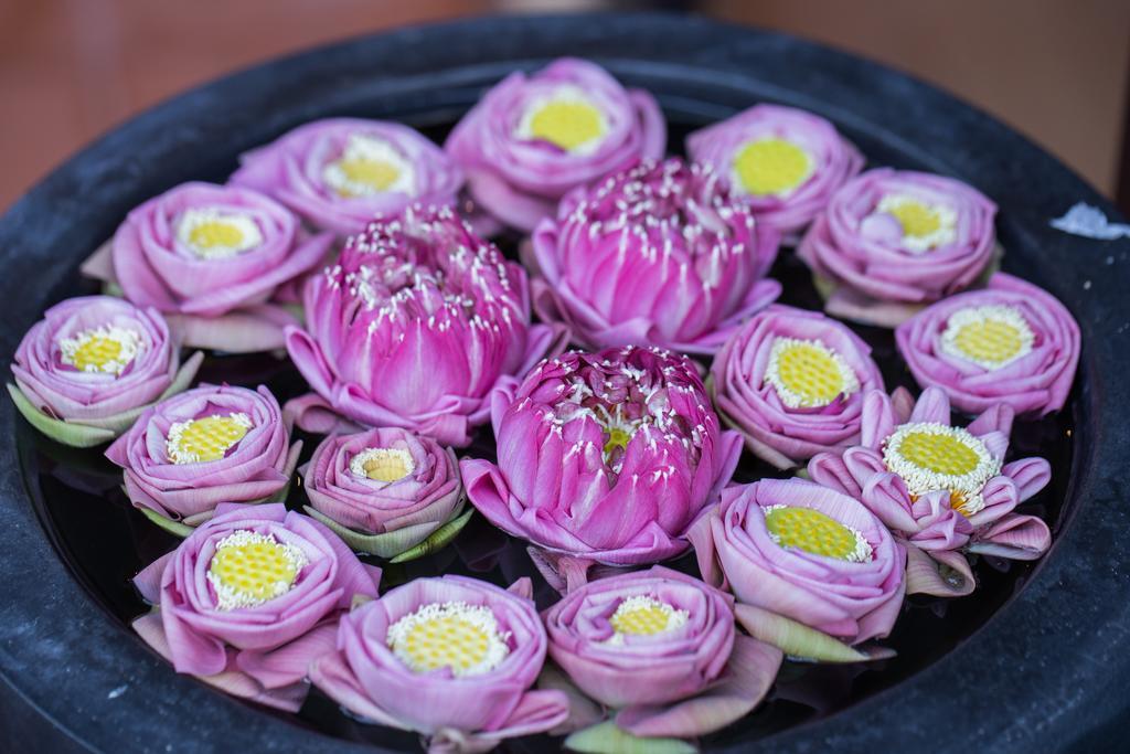 Angkor'S Sunshine Bed & Breakfast เสียมราฐ ภายนอก รูปภาพ
